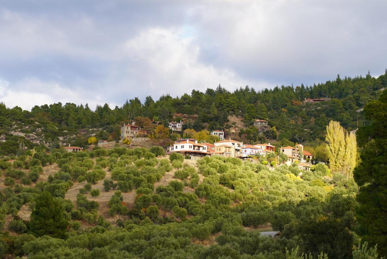 Alterra Vita Eco Villas Néosz Marmarász Kültér fotó